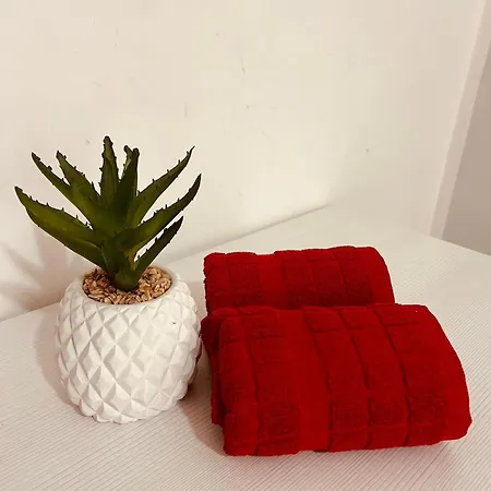 With Shared Bathroom In A Shared Flat Alloggio in famiglia San Giuliano
