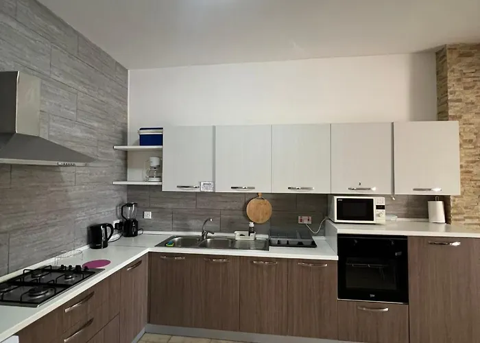 民宿 With Shared Bathroom In A Shared Flat Saint Julian's